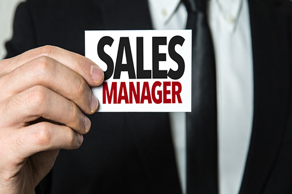Sales Manager Excellence